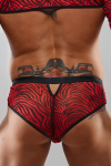 Slip type br�silien z�br� rouge et noir - Regnes