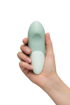 Vibromasseur Womanizer Vibe sauge Vibromasseur Womanizer Vibe sauge